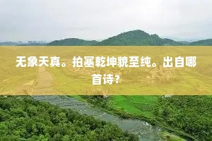 鞭影下的觉醒，鲁迅之言，刺破人性暗角的哲思