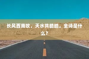 丽句清词的解释