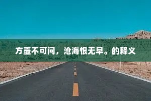 雪巢之雪竟何许，岂角主人清且苦。出自哪首诗？