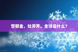 自信燃希望，青年特权铸辉煌 —— 大仲马启示录
