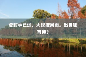 枚数尽英雄，隐显关述作。出自哪首诗？