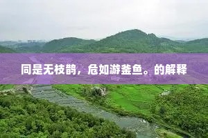 凋残早梅树，今之若为别。的释义