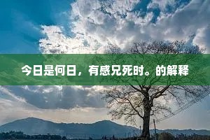 连三接四的成语解释