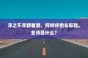 愧我衰残，终然无补，久矣寒灰枯树枝。的释义