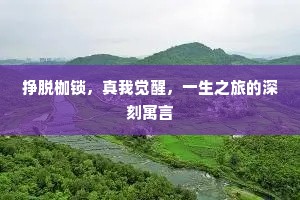 沥血披肝的释义