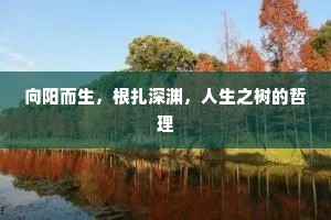 深期帝子都，仿像洞庭乐。的释义