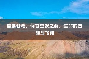 连镳并驾的成语解释
