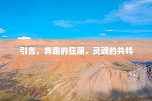 引言，奔跑的狂澜，灵魂的共鸣