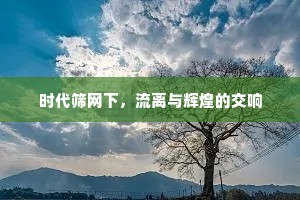 时代筛网下，流离与辉煌的交响