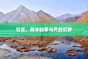 引言，风中的草与尺的幻梦