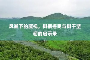 连绵起伏的解释