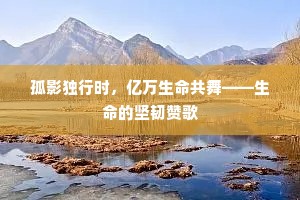 庭际霜禽归，屡吸苔钱缺。的意思及出处