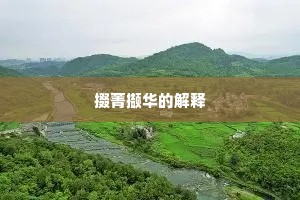 连三接二的成语解释