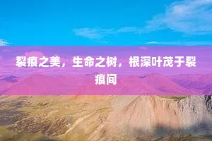 寄语玄真子，迅速驰素虬。下一句是什么？