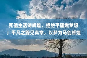 死磕生活铸辉煌，拒绝平庸燃梦想；平凡之路见真章，以梦为马创辉煌
