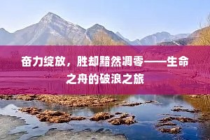 奋力绽放，胜却黯然凋零——生命之舟的破浪之旅