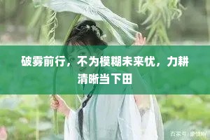 破雾前行，不为模糊未来忧，力耕清晰当下田