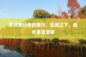 笑对缓行者的愚行，讥讽之下，成长更显坚韧