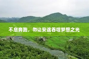 不息奔跑，勿让安逸吞噬梦想之光