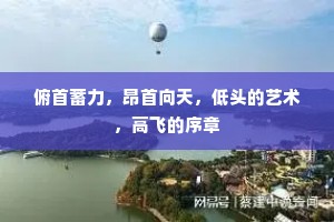 俯首蓄力，昂首向天，低头的艺术，高飞的序章