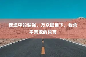 逆境中的倔强，万众瞩目下，我誓不言败的誓言