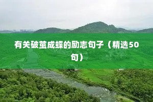 70后女人励志语录（精选8篇）