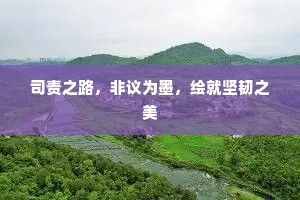 司责之路，非议为墨，绘就坚韧之美