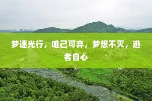 梦逐光行，唯己可弃，梦想不灭，逃者自心