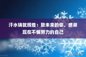 汗水铸就辉煌：致未来的你，感谢现在不懈努力的自己