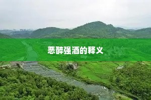 恶醉强酒的释义