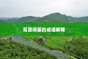 耳目闭塞的成语解释