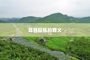 耳目股肱的释义