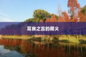 耳食之言的释义