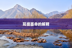 耳提面命的解释
