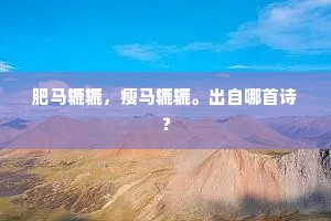 曾是偶然成莫逆，消来尔许炎凉。下一句是什么？