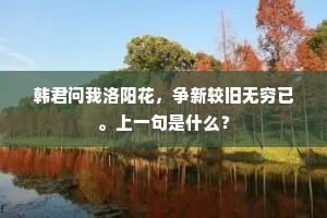 古人因陋造此法，随地取石为桥舟。的释义