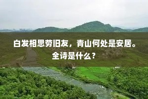 片石剜苔新作沼，小楼拄笏饱看山。的释义