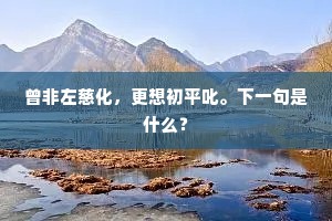 山林吾计拙，天地此身浮。的释义