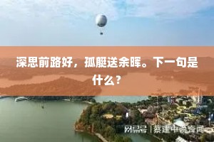 忧时兼悼友，白却九分头。上一句是什么？