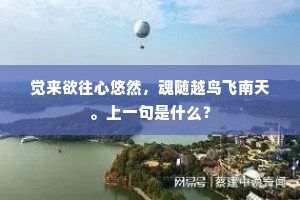 习惯之力，塑造命运的隐形舵手