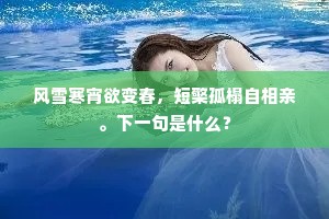 逆境之光，在裂痕中播种勇气，于遗憾前紧握希望