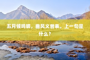 敢言敢行，以勇气照亮可诅咒的时代