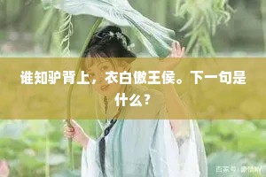 英勇之魂，崇高路上的璀璨星辰