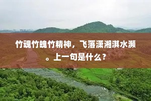 桃花源里客，未足识嬴秦。的意思及出处