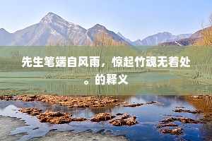 无耐心者失智慧，在浮躁时代寻觅深邃之光