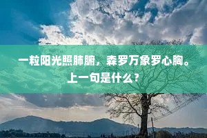 君醉不肯饮，月华为谁明？的释义