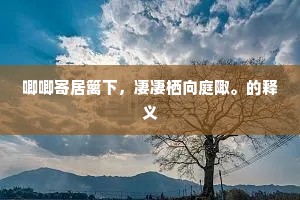 风穿每恨尘凝座，雨漏长忧湿满毡。的解释