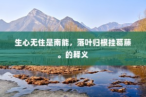 耕耘非即收，深植待时熟 —— 人生路上的耐心哲学