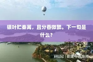 恒心缺失，万事皆空 —— 牛顿警世恒言下的现实镜鉴