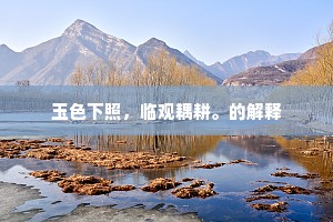 坚持之光，超越挫败的坚韧——成就路上的不朽箴言